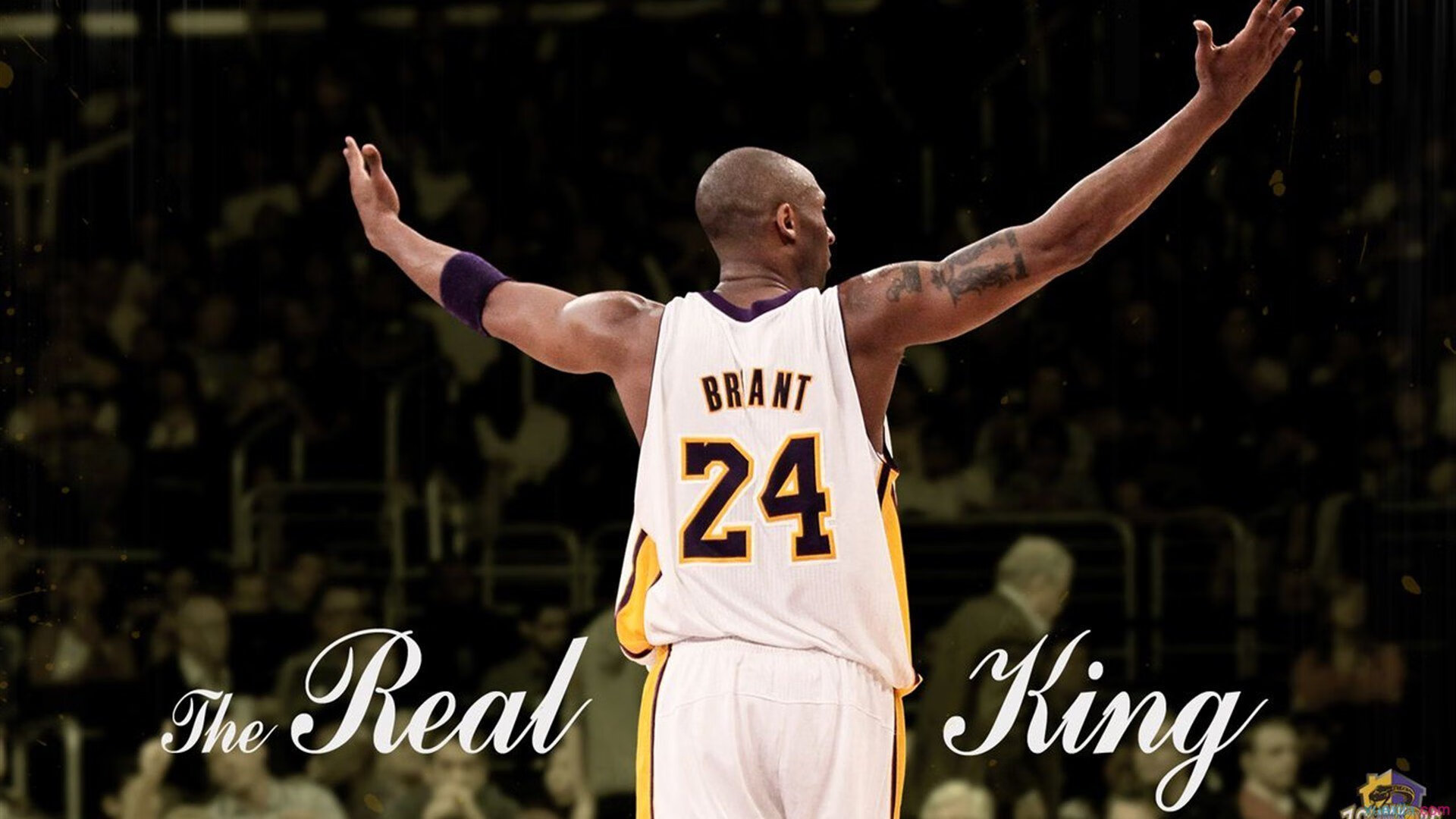 霍勒迪一剑封喉!76人绝杀开拓者,点燃费城不眠夜